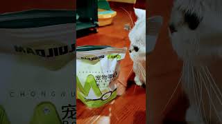 Cat food review cat viralvideo shortsviral [upl. by Aronoh]