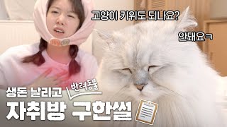 가계약금 날리고💸 반려동물 가능한 전셋집 구한 썰 고양이와 집구하는 팁주의사항 [upl. by Paryavi536]