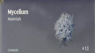 How to get Mycelium Enshrouded [upl. by Froma554]