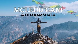 DHARAMSHALA  TOURIST PLACES  MCLEODGANJ  TRIUND TREK  GUIDE AND ITINERARY  dharamshala trek [upl. by Kenward480]