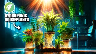 Hydroponic Houseplants Explained [upl. by Ravahs496]