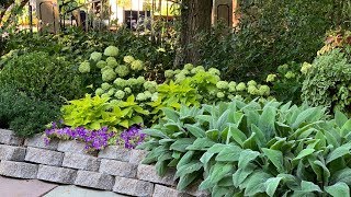 Planting Hydrangeas amp Fixing a Broken Pipe 🌿🛠😊 Garden Answer [upl. by Perdita]