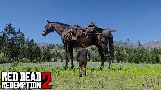 Many playes encounter this npc but ignor this  RDR2 [upl. by Daye]