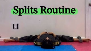 Splits routine for Taekwondo kicking flexibility [upl. by Droflim]