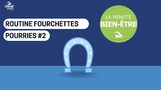 Minute Produit Cheval Energy  Routine fourchettes pourries part2 [upl. by Acinna]