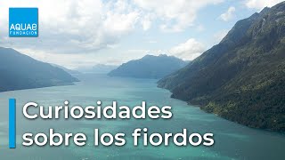 CURIOSIDADES sobre los FIORDOS [upl. by Giustino]