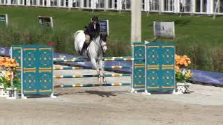 Video of Contessina Della Caccia ridden by Samantha Schaefer from ShowNet [upl. by Aileen]