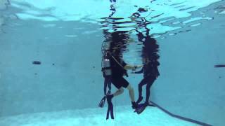 Revised PADI® Open Water Course Skills  Northwest Scuba [upl. by Konikow11]