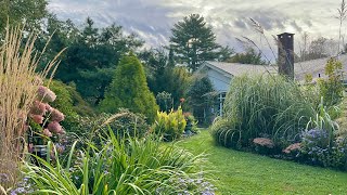 Ornamental Grasses for Fall Gardens 915222024 [upl. by Nosneh]