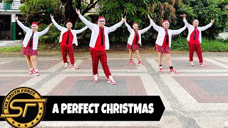 A PERFECT CHRISTMAS  Christmas Special  Christmas Dance  Dance Fitness  Zumba [upl. by Arianne205]