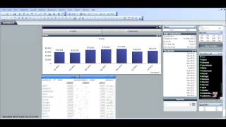 Qlikview Mini Charts by RFB 43 [upl. by Rebma]