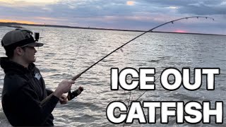 ICE OUT Coralville Reservoir IA Channel Catfish [upl. by Eilyr]