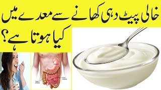 Dahi Khali Pait khany Se Maday Main Kia Hota Hai  Yogurt Eating Benefits [upl. by Eselahs]