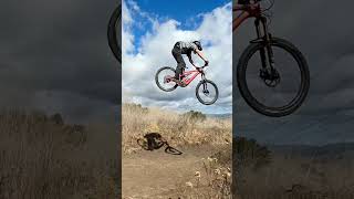 Levo Landed on my Head mtb gopro socalmtb downhillmountainbike turbolevo [upl. by Lletram]