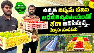 Green Meadow Farms polyhousefarming organicfarming organic exotic leafy vegetables hydroponics [upl. by Aitnahc]