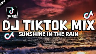 DJ Sunshine in the Rain TikTok Viral 2024   DJ JER PH [upl. by Nnylaf]