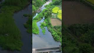 Heartwarming Rescue in Guilin！ A drone operator saved all three lives [upl. by Abba]