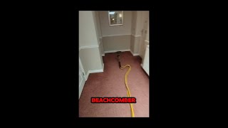 Carpet Clean With Me Communal Areas [upl. by Garner]