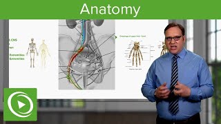 Anatomy – Course Preview  Lecturio [upl. by Lerim]