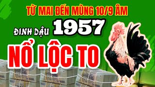 quotTừ maiquot Đinh Dậu sinh 1957 bùng nổ tài lộc tiền vàng đầy nhà đến mùng 109 âm lịch [upl. by Mosby250]