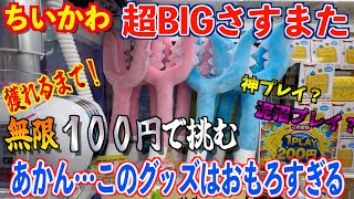 【ちいかわ】超話題の『超BIGさすまた』獲れるまで無限100円で挑む！！こんなおもろいプライズ見たことないぞwww [upl. by Shear903]