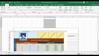 DP OFIMATICA BASICA EXCEL Diseño de tablas en Excel Parte 1 7 [upl. by Adore]