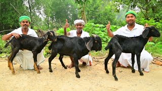 30 KG Mutton Curry Recipe  Mutton curry recipe cooking for village poor people  Helping kitchen [upl. by Earased841]