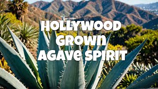 Growing Agave Spirit in the USA under the Hollywood Sign Tequila and Mezcal mulhollandestate [upl. by Gamal]