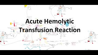 Acute Hemolytic Transfusion Reaction AHTR [upl. by Hay]