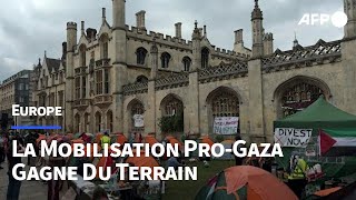 Les rassemblements étudiants propalestiniens continuent en Europe  AFP [upl. by Helban]