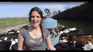 Farming in New Zealand [upl. by Ispep]