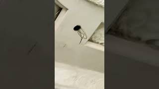 Hall chanoti ceiling desgine finle look👀🥰😍 music instrumental night home youtubemusic [upl. by Ydnew]