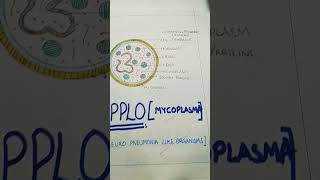 PPLOmycoplasmadiagrambio ğŸŒ [upl. by Botsford4]