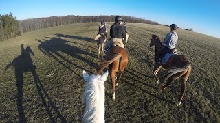 Reiterferien auf dem Ferienhof Schepper [upl. by Htiekram146]