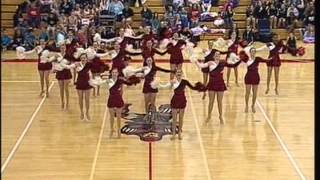 Homestead High School Wisconsin Poms November 2008 [upl. by Llerred524]