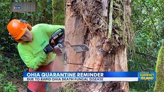 Merrie Monarch Attendees Ohia quarantine reminder [upl. by Erek]