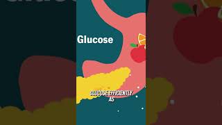 Understanding Insulin Resistance [upl. by Cassella]