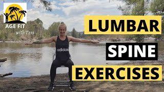 Lumbar Spondylosis Exercises [upl. by Ennoid281]