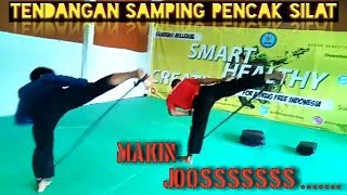 LATIHAN TENDANGAN SAMPING  PENCAK SILAT [upl. by Carine]