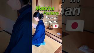 🇯🇵Amazing Matcha Factory japantravel japanvlog solotravel japanlife shorts tiktok viral fy [upl. by Elcarim610]