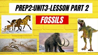 Science prep2 unit3 lesson 1fossils part2 [upl. by Rosario]