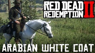 Red Dead Redemption 2  Arabian White Coat  Fastest Horses In RDR2 [upl. by Airpac]