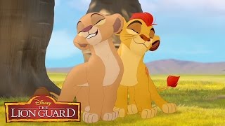 The Lion Guard quotHakuna Matataquot Song From The Lion King 🎶  disneyjr [upl. by Fredkin61]