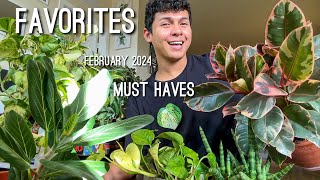 Top Favorite Houseplants of February 2024 [upl. by Kristen]