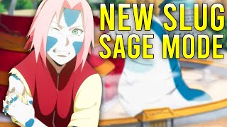 Sakura Sage Mode REVEALED [upl. by Yhtommit]