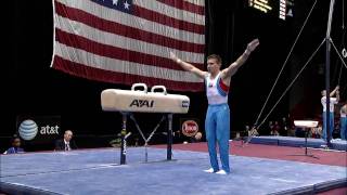 Jonathan Horton  Pommel Horse  2008 Visa Championships  Men  Day 2 [upl. by Zilevi]