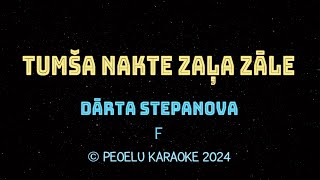 Tumša nakte zaļa zāle  Dārta Stepanova karaoke [upl. by Biancha]