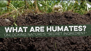 Unlocking the Power of Humate Unveiling its Importance for Soil Health and Plant Growth  Explained [upl. by Franciska803]