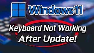 FIX Keyboard Not Working After Windows Update in Windows 11 [upl. by Annoirb173]