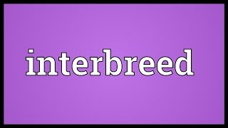 Interbreed Meaning [upl. by Tatiania377]